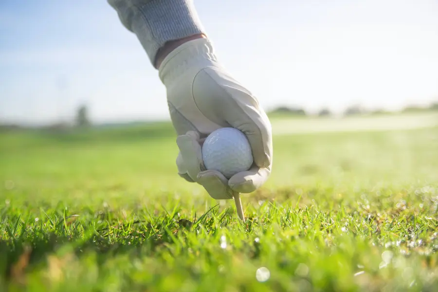 Golf su un campo speciale © Kampus Production / Pexels